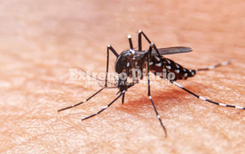 Imagen de Situaci&oacute;n epidemiol&oacute;gica en la provincia al 30 de enero