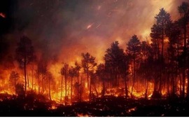 El fuego se inici&oacute; pasado el mediod&iacute;a del viernes "con casi simult&aacute;neamente cuatro focos".