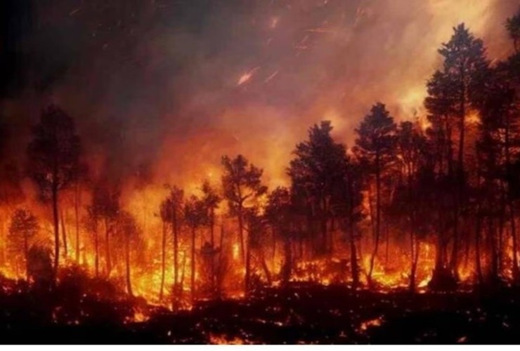 El fuego se inició pasado el mediodía del viernes "con casi simultáneamente cuatro focos".