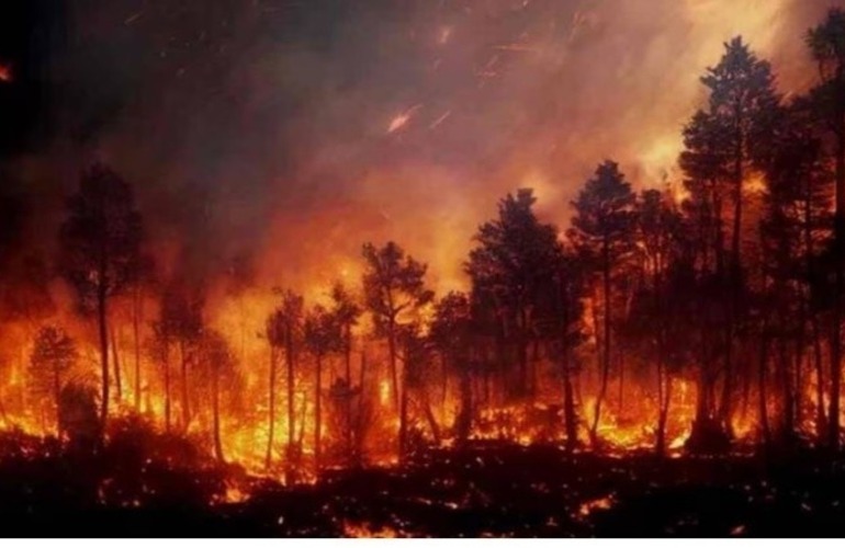 El fuego se inició pasado el mediodía del viernes "con casi simultáneamente cuatro focos".