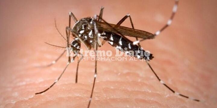 Imagen de Confirmaron 525 nuevos casos de dengue y 175 de covid la última semana en la provincia