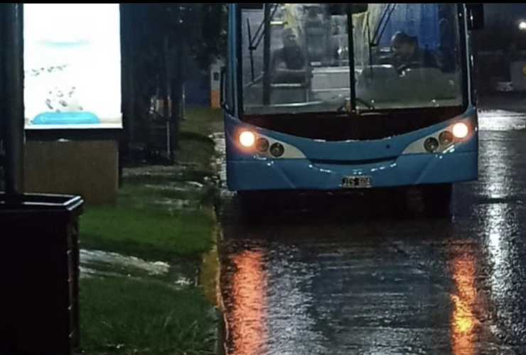 Imagen de 'El Laguense' inició hoy su recorrido por la localidad.