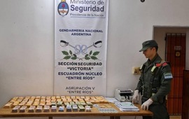 Imagen de Control de Gendarmer&iacute;a fiscaliz&oacute; cami&oacute;n y hall&oacute; una millonada sin declarar: fajos secuestrados