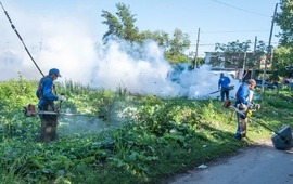 Imagen de El Ministerio de Salud provincial confirm&oacute; 7580 casos de dengue en Santa Fe