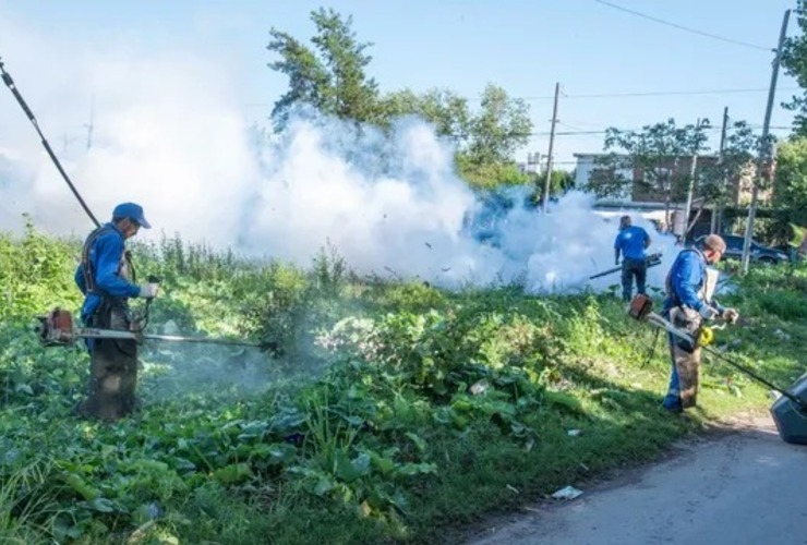 Imagen de El Ministerio de Salud provincial confirmó 7580 casos de dengue en Santa Fe