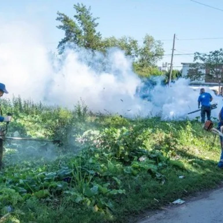 Imagen de El Ministerio de Salud provincial confirmó 7580 casos de dengue en Santa Fe