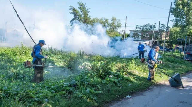 Imagen de El Ministerio de Salud provincial confirm&oacute; 7580 casos de dengue en Santa Fe