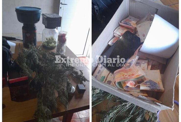 Imagen de Decomisan marihuana valuada en más de 5 millones de pesos