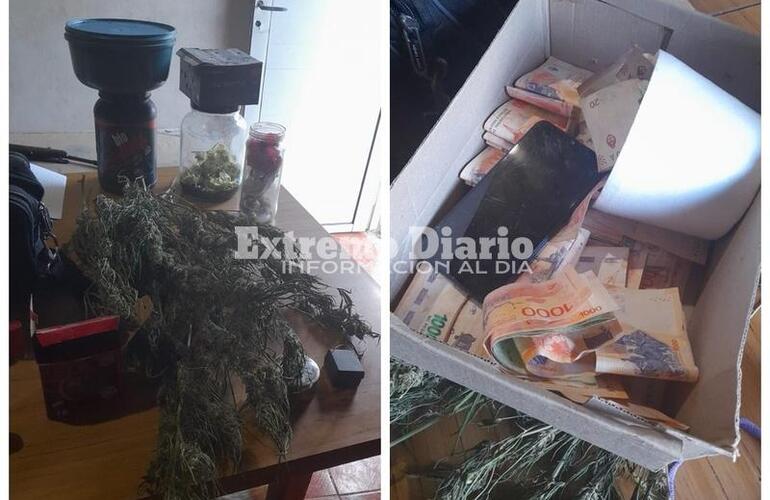 Imagen de Decomisan marihuana valuada en más de 5 millones de pesos