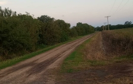 Se desmalezaron y pusieron en condiciones 56km de caminos.