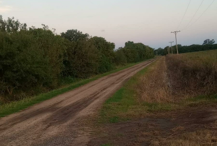 Se desmalezaron y pusieron en condiciones 56km de caminos.