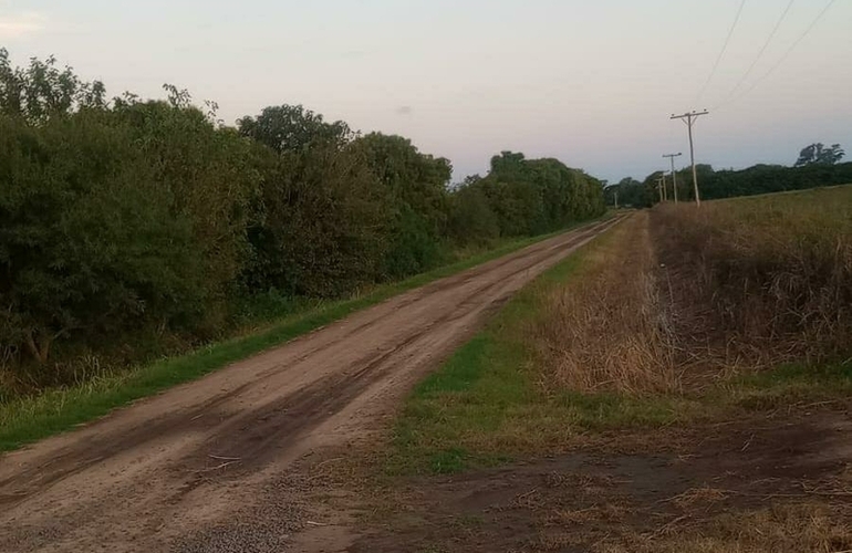 Se desmalezaron y pusieron en condiciones 56km de caminos.