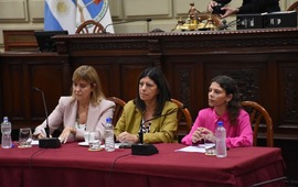 Imagen de Rectores de las Universidades P&uacute;blicas y Directivos del Conicet expusieron un crudo relato de su situaci&oacute;n en la Legislatura