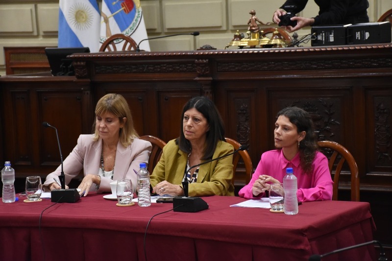 Imagen de Rectores de las Universidades P&uacute;blicas y Directivos del Conicet expusieron un crudo relato de su situaci&oacute;n en la Legislatura