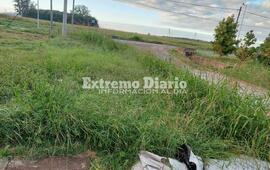 Una de las fotos enviadas por una vecina.
