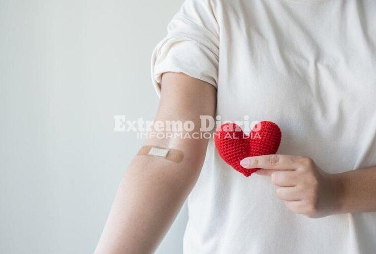 Imagen de Alvear: Campaña de donación de sangre y médula ósea