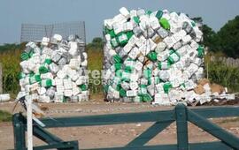 Imagen de Recepci&oacute;n de envases de fitosanitarios en Alvear