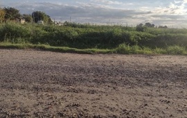 Foto tomada y enviada por un vecino.