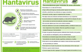 Imagen de Pav&oacute;n: Para evitar la propagaci&oacute;n de ciertas enfermedades Salud record&oacute; estas recomendaciones