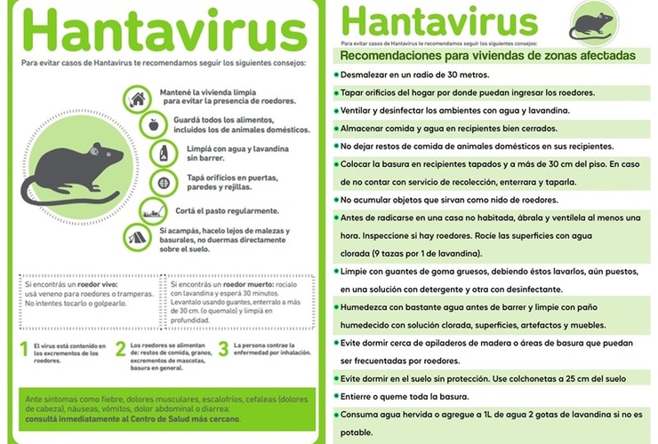 Imagen de Pavón: Para evitar la propagación de ciertas enfermedades Salud recordó estas recomendaciones