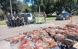Imagen de Operativo policial en M&aacute;ximo Paz recupera ganado robado y secuestra veh&iacute;culo sospechoso