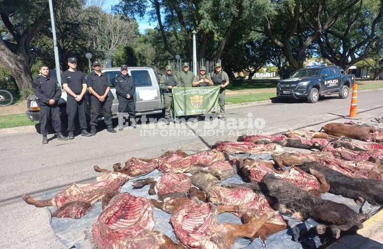 Imagen de Operativo policial en M&aacute;ximo Paz recupera ganado robado y secuestra veh&iacute;culo sospechoso