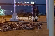 La mercadería permanecía hasta esta noche a resguardo en la sede de Prefectura Arroyo Seco.