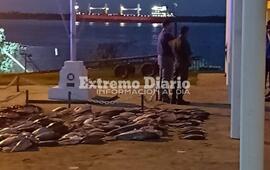 La mercader&iacute;a permanec&iacute;a hasta esta noche a resguardo en la sede de Prefectura Arroyo Seco.