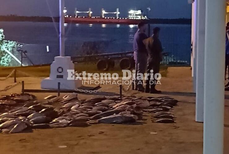 La mercadería permanecía hasta esta noche a resguardo en la sede de Prefectura Arroyo Seco.