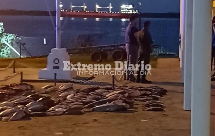 La mercader&iacute;a permanec&iacute;a hasta esta noche a resguardo en la sede de Prefectura Arroyo Seco.