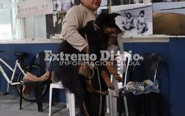 Imagen de La Comuna de Fighiera realiz&oacute; una nueva jornada de castraciones