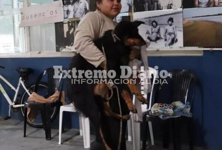 Imagen de La Comuna de Fighiera realiz&oacute; una nueva jornada de castraciones