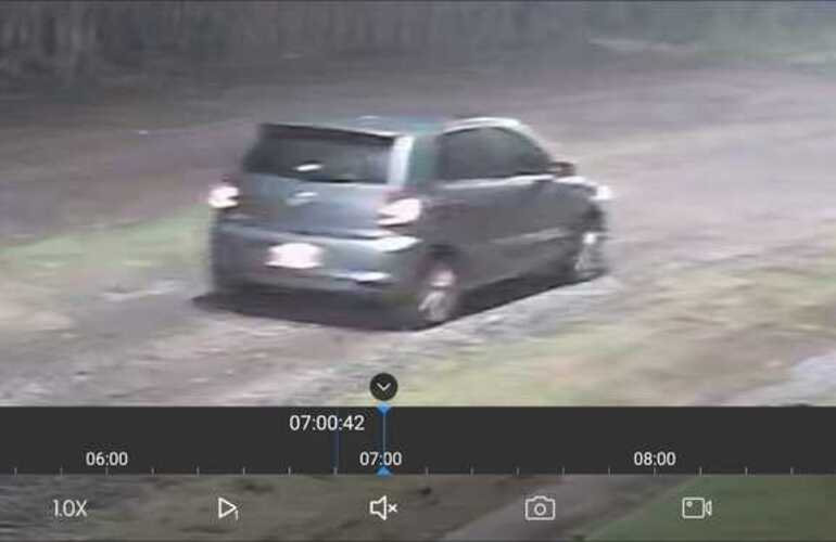 Foto: captura de pantalla video