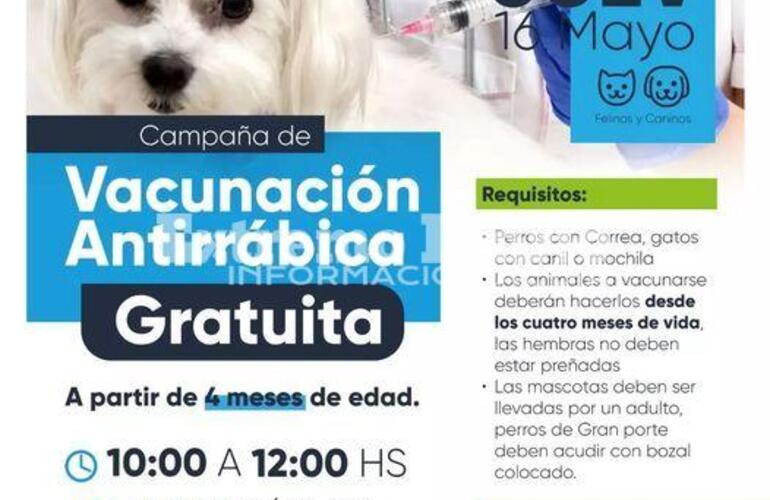 Imagen de Nueva jornada de vacunaci&oacute;n antirr&aacute;bica en Fighiera