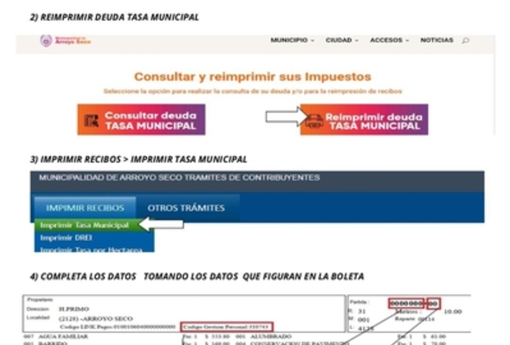 Imagen de Camino a la digitalización: No habrá más reparto de Tasas y podrán descargarse por la web