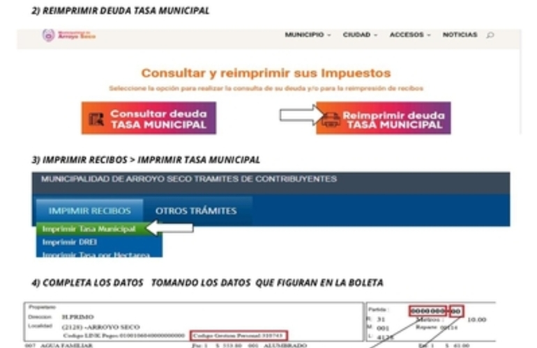 Imagen de Camino a la digitalización: No habrá más reparto de Tasas y podrán descargarse por la web