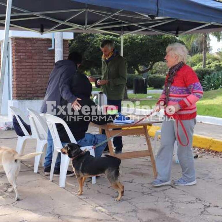 Imagen de Vacunación antirrábica de mascotas en Fighiera
