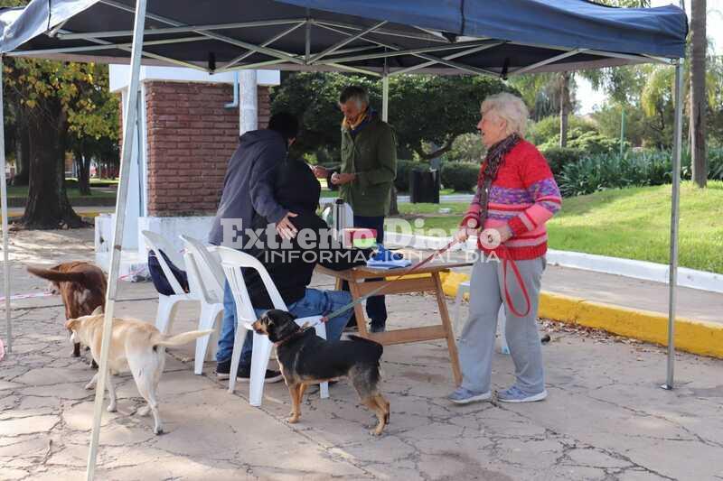 Imagen de Vacunaci&oacute;n antirr&aacute;bica de mascotas en Fighiera