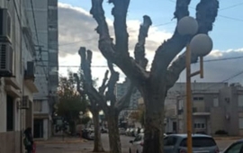 Por el momento, el gobierno local no est&aacute; multando pero si lo hace provincia.
