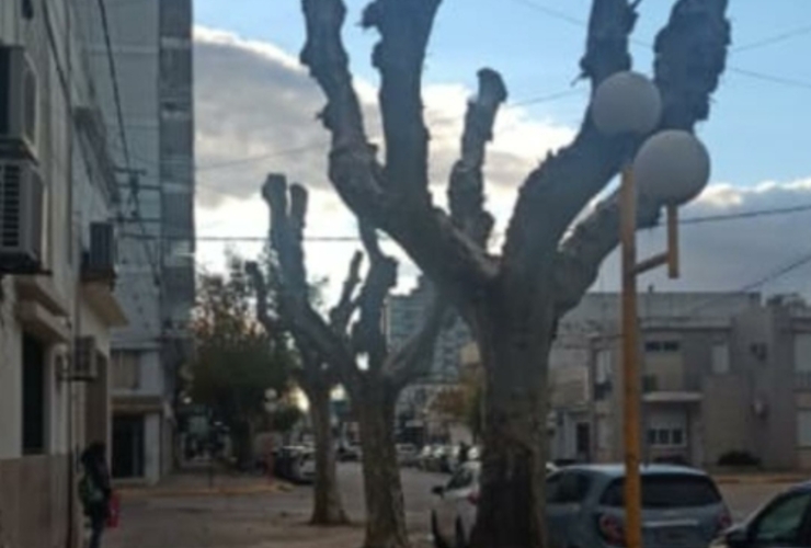 Por el momento, el gobierno local no est&aacute; multando pero si lo hace provincia.