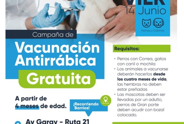 Imagen de Vacunación antirrábica
