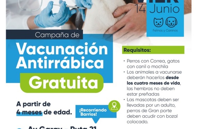 Imagen de Vacunaci&oacute;n antirr&aacute;bica