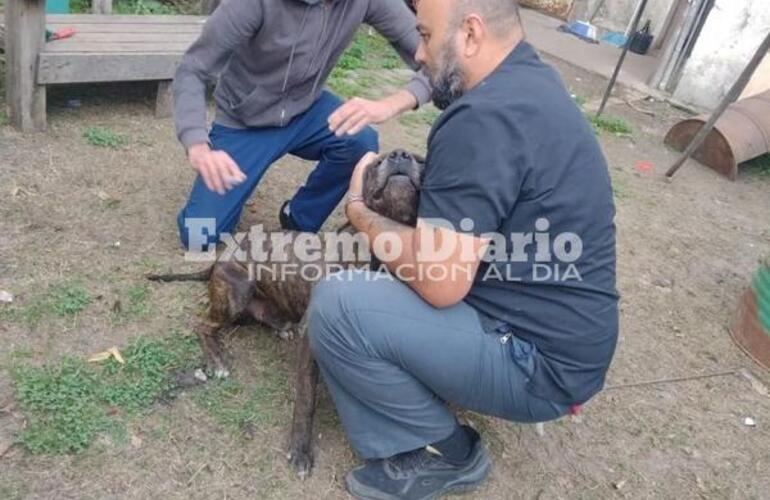 Imagen de Se llev&oacute; adelante una nueva jornada de vacunaci&oacute;n antirr&aacute;bica en Fighiera
