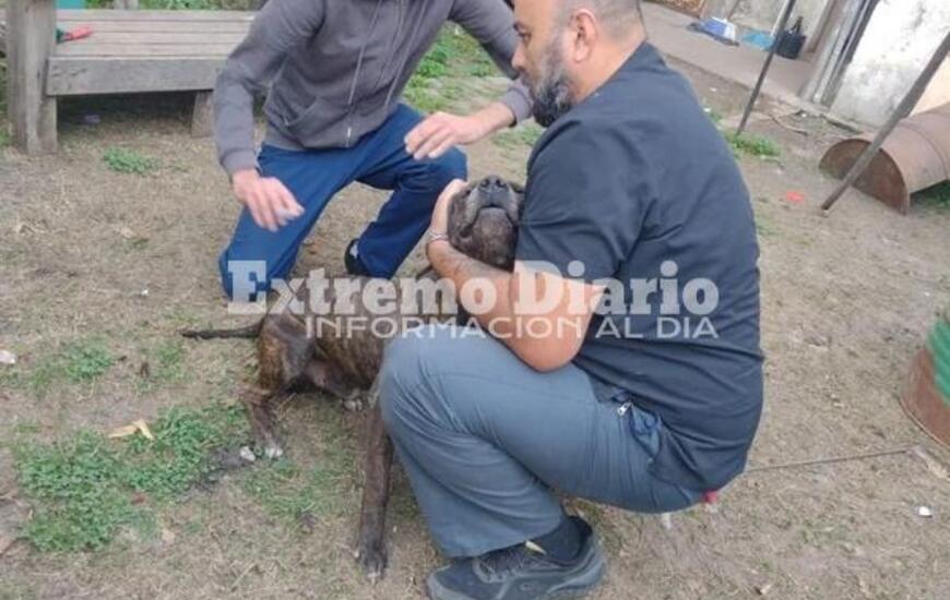 Imagen de Se llev&oacute; adelante una nueva jornada de vacunaci&oacute;n antirr&aacute;bica en Fighiera