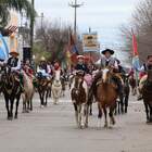¿Cuántos serán? La Municipalidad autorizó el desfile de equinos pero "más medido".